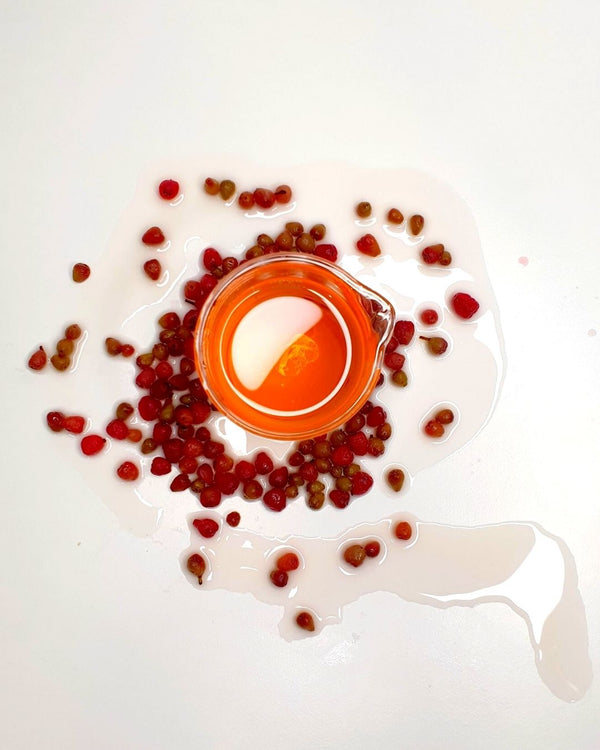 The Lilli Pilli-Riberry Cellular Extract in a beaker, surrounded by Lilli Pilli-Riberry.