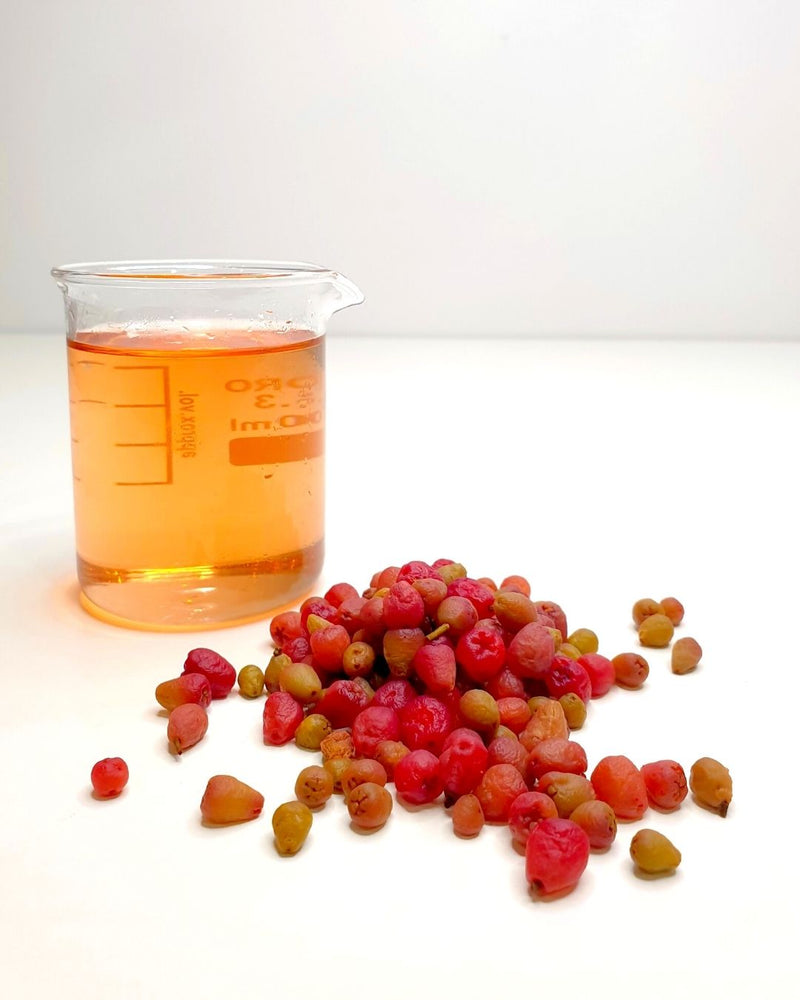 The Lilli Pilli-Riberry Cellular Extract in a beaker, with Lilli Pilli-Riberry next to it.