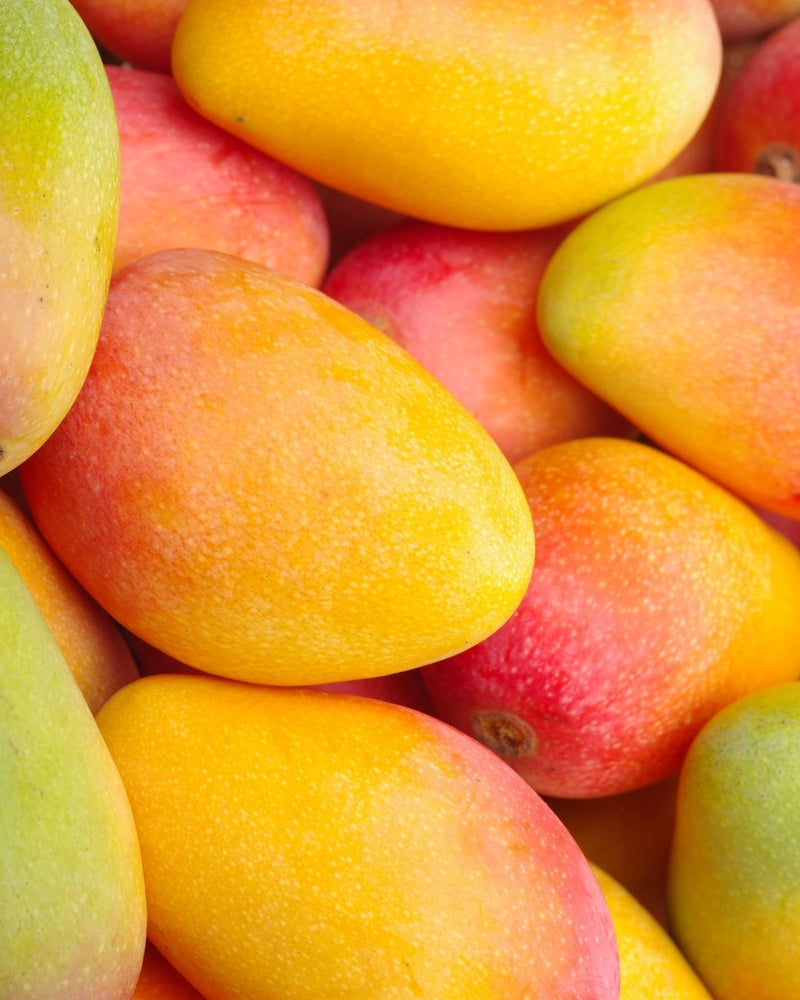 Mango Cellular Extract