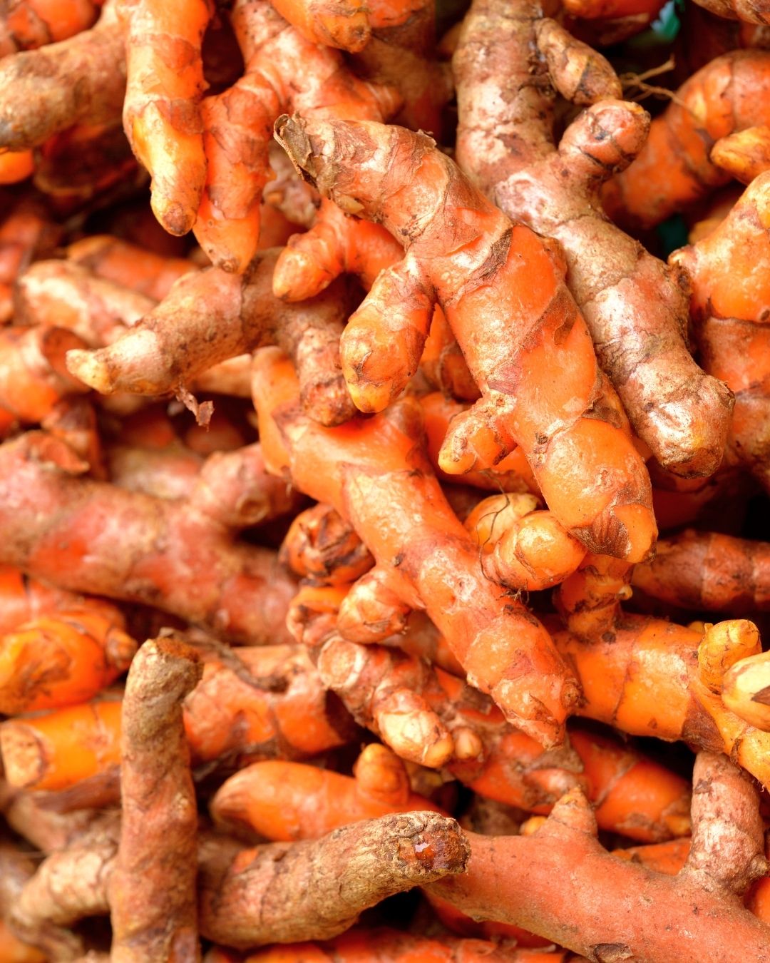 Turmeric Cellular Extract – NATIVE EXTRACTS