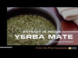This video details how the leaf of Yerba mate (Ilex paraguariensis), is used to create the Native Extracts Yerba mate Cellular Extract.