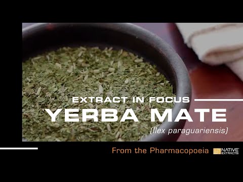 This video details how the leaf of Yerba mate (Ilex paraguariensis), is used to create the Native Extracts Yerba mate Cellular Extract.