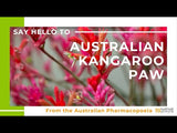 Australian Kangaroo Paw Cellular Extract video...from the Australian Pharmacopoeia